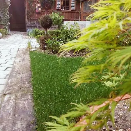 Apartamento Abc *